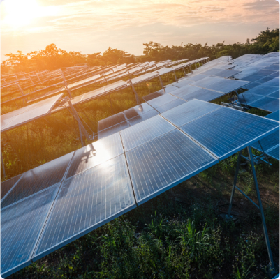 Reducing our impact on<br>the environment